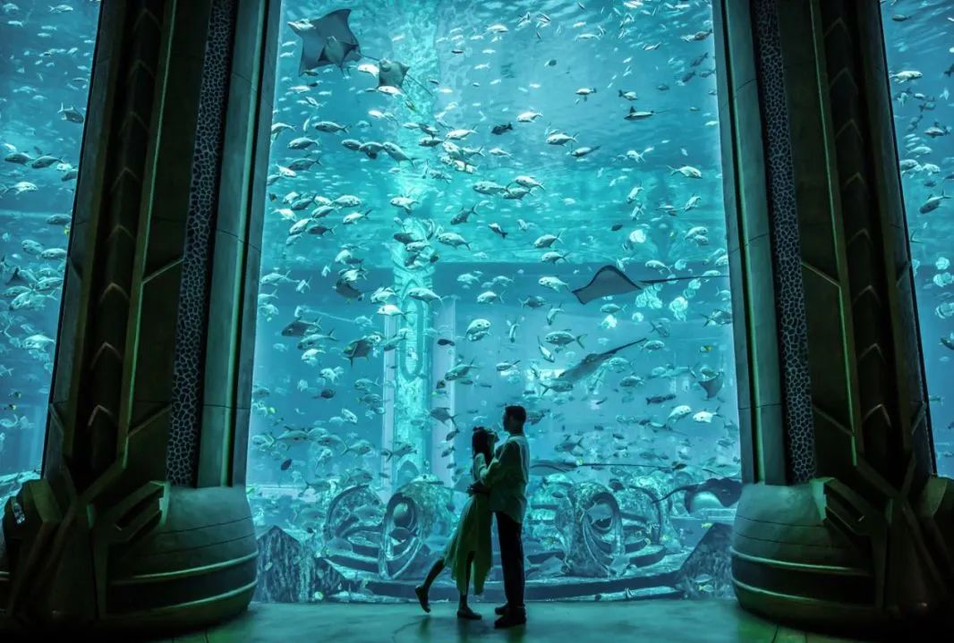 微信圖片_20220523083225.jpg 微信圖片_20220523083225.jpg